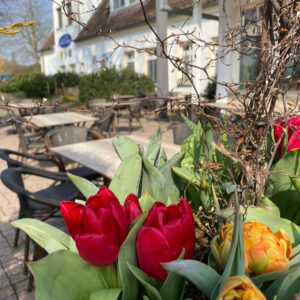 Terrasse der Pleister Mühle