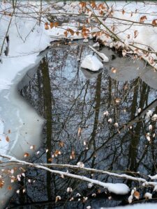 Winterlandschaft an der Ems 2