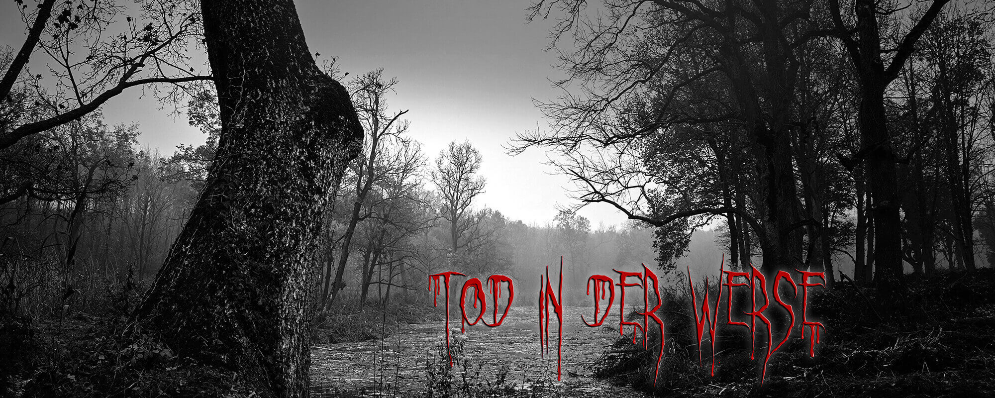 Krimidinner - Tod in der Werse
